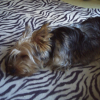 Photo #229229 de Eureka