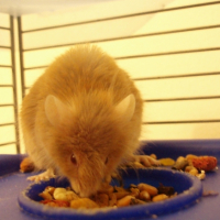 Photo #229231 de Lili
