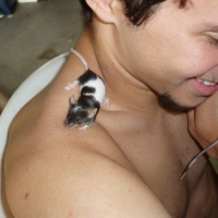 Photo #229233 de Domino
