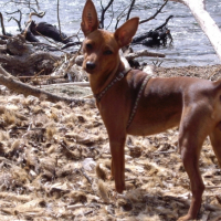 Photo #229241 de Dolly