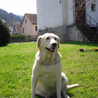 Photo #229310 de Rita