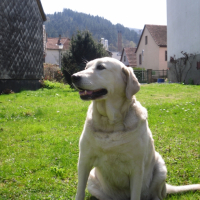 Photo #229311 de Rita