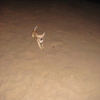 Wouaouuuuuuu je cours sur le sable 