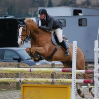 Photo #229382 de Hobby turgot