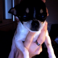 Photo #229397 de Luna