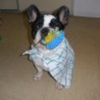 Photo #229440 de Daddy cool