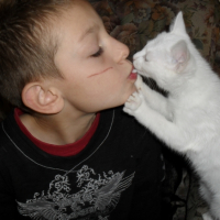 Photo #229464 de Ninette