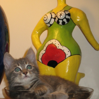 Photo #229465 de Zoé