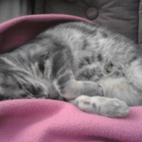Photo #229473 de Zoé