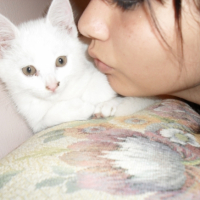 Photo #229474 de Ninette