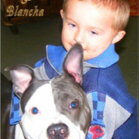 Photo #229527 de Blancka de percyval