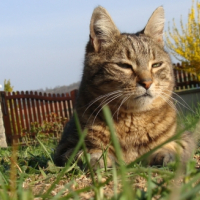 Photo #229613 de Kiwy