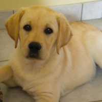 Photo #229659 de Erkan