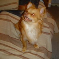 Photo #229668 de Appy