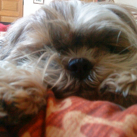 Photo #229691 de Venus