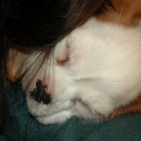 Photo #229692 de Epyss