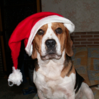 Photo #229726 de Cybelle