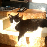 Photo #229735 de Tchoupy