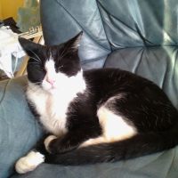 Photo #229743 de Tchoupy