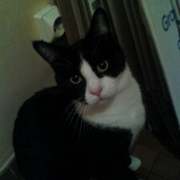 Photo #229748 de Tchoupy