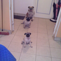 Photo #229790 de Bridget
