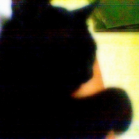 Photo #229804 de Titoush