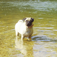 Photo #229829 de Dolly