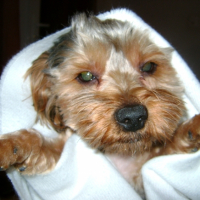 Photo #229877 de Charly