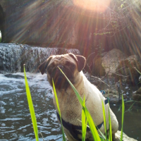 Photo #229892 de Dolly