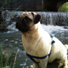 Photo0144_001