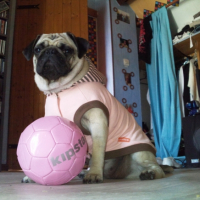 Photo #229897 de Dolly