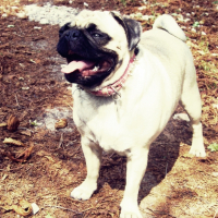 Photo #229898 de Dolly