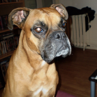 Photo #229935 de Arko