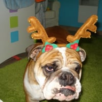 Photo #229986 de Clara