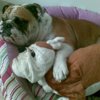 Photo #229987 de Clara