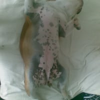 Photo #229989 de Clara