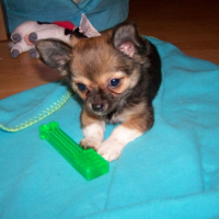 Photo #229999 de Elliot