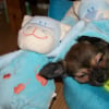 Repos