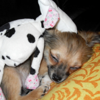 Photo #230002 de Elliot