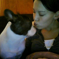 Photo #230005 de Elfy