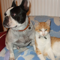 Photo #230044 de Didjy