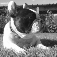 Photo #230074 de Uranie