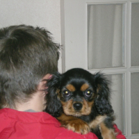 Photo #230287 de Gypsy.