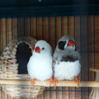 Photo #230297 de Azur et co'
