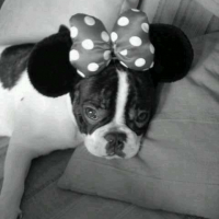 En Minnie 