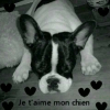 Elfy
