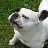 Photo #230354 de Vox