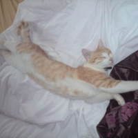 Photo #230356 de Didjy