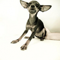 Photo #230398 de Lola