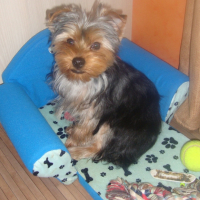 Photo #230425 de Eliot